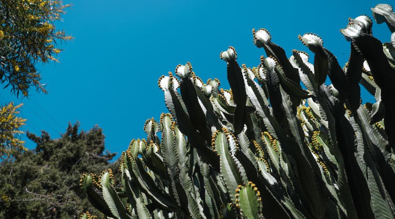 Jávea Casa Elizabethヴィラ エクステリア 写真