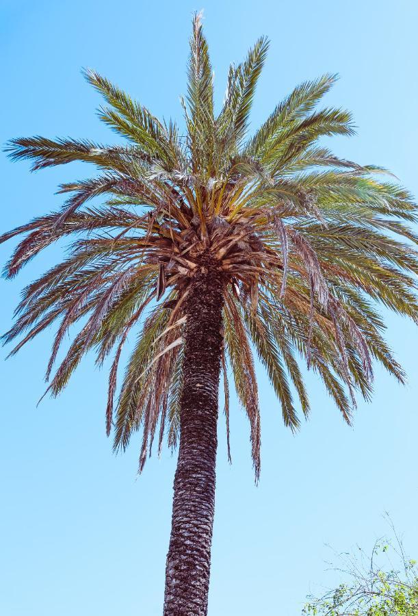 Jávea Casa Elizabethヴィラ エクステリア 写真